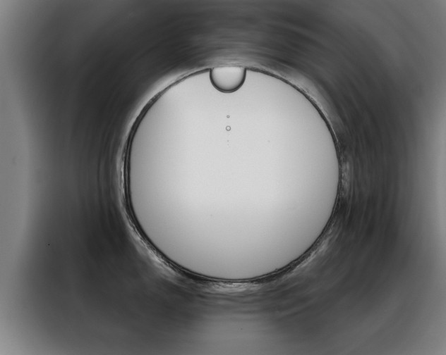X0000088391150200705220756