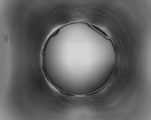 X0000088391151200705220756