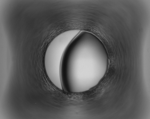 X0000088391153200705220755