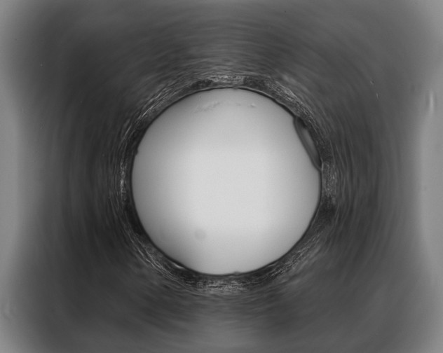 X0000088391154200705220755