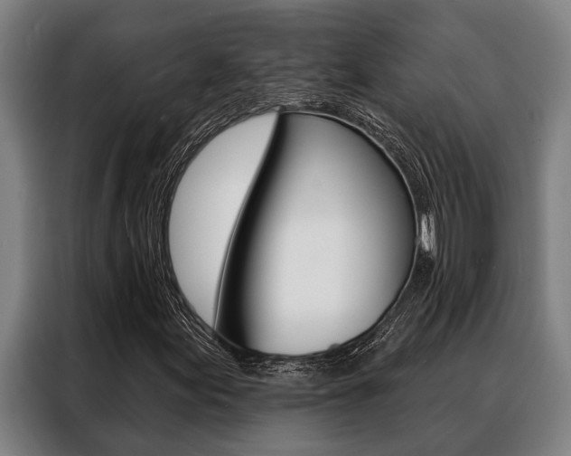 X0000088391155200705220755