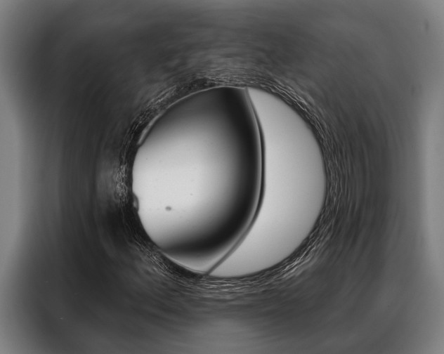 X0000088391156200705220755