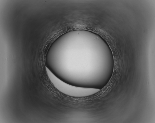 X0000088391157200705220755