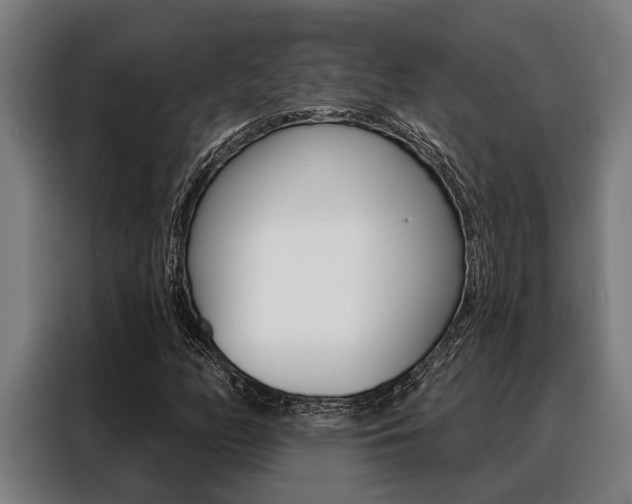 X0000088391158200705220755