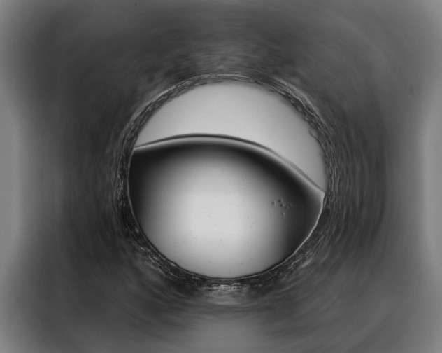 X0000088391160200705220755