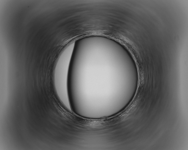 X0000088391161200705220755