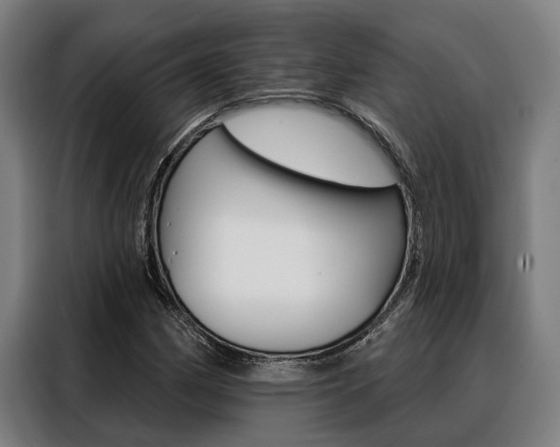 X0000088391162200705220755