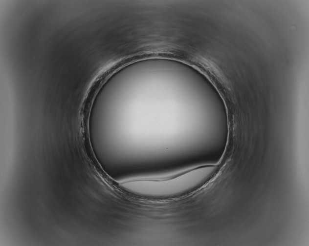 X0000088391164200705220755
