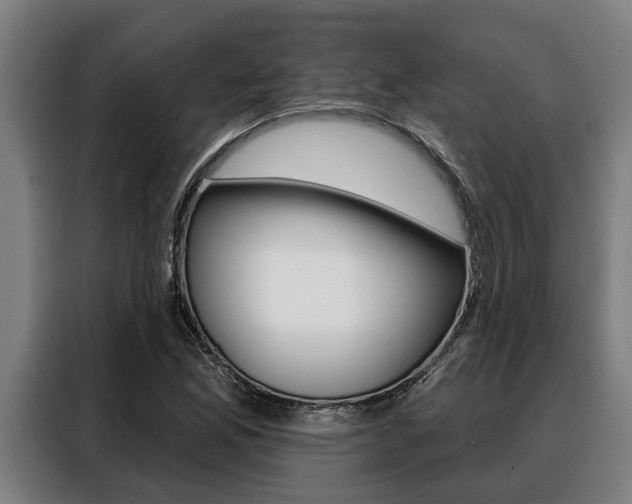 X0000088391165200705220755