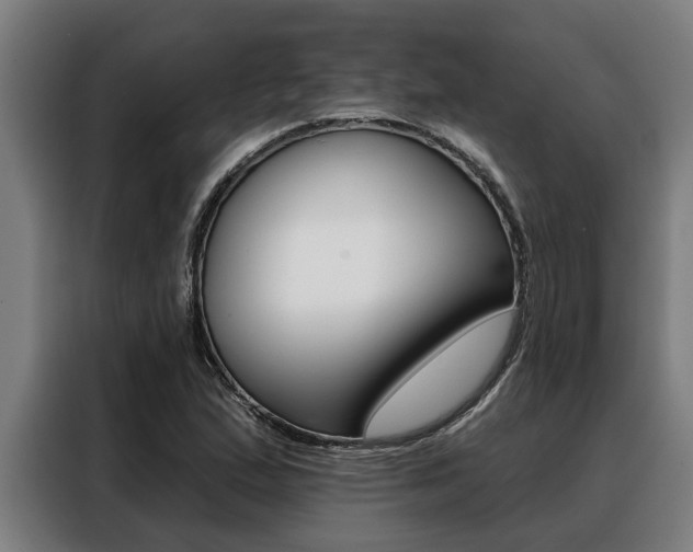 X0000088391167200705220755