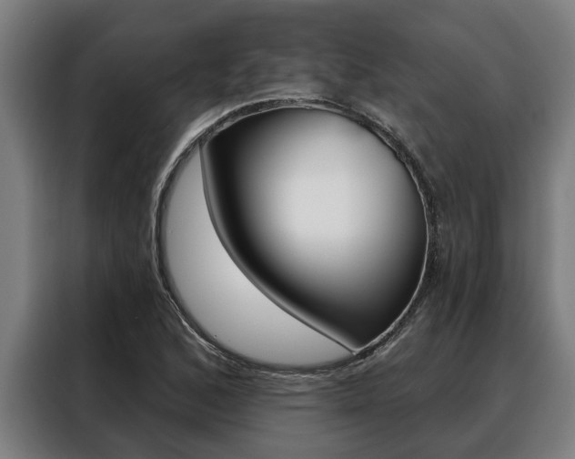 X0000088391168200705220755
