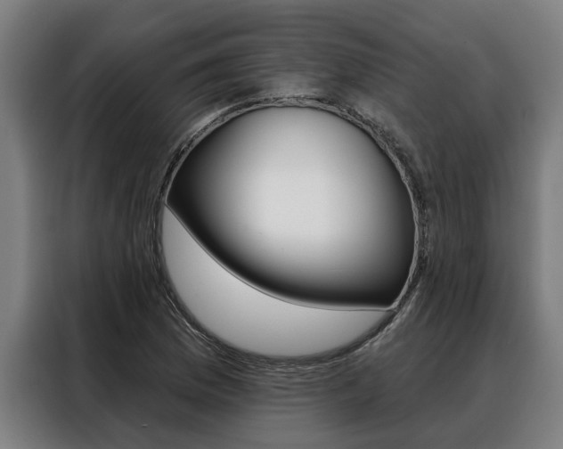 X0000088391169200705220755