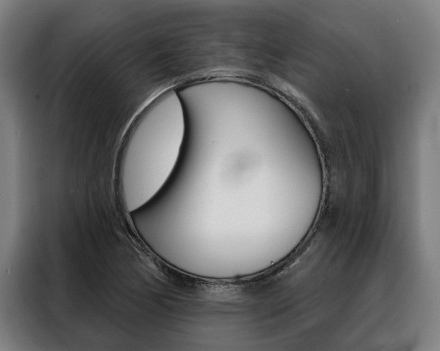 X0000088391170200705220755