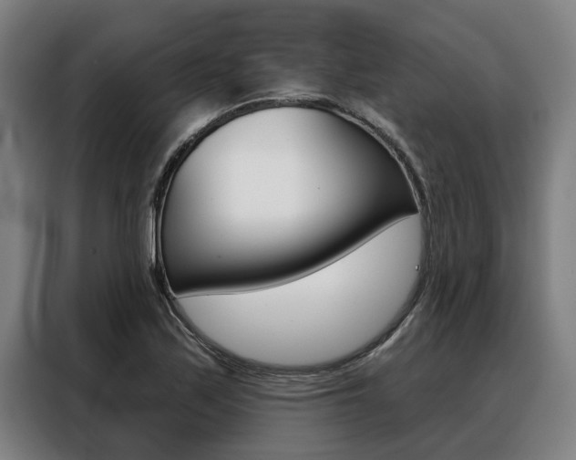 X0000088391171200705220755