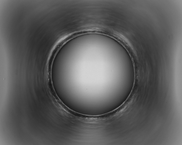X0000088391172200705220755