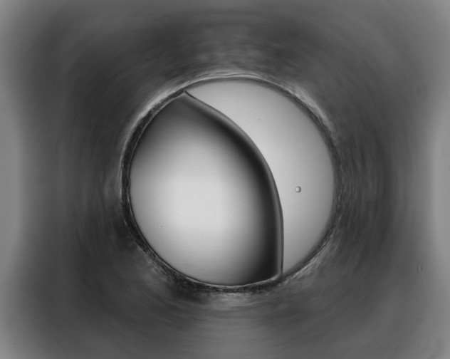 X0000088391173200705220755