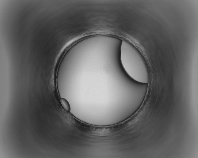 X0000088391174200705220755