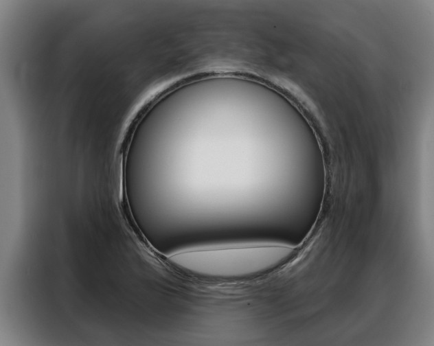 X0000088391175200705220755