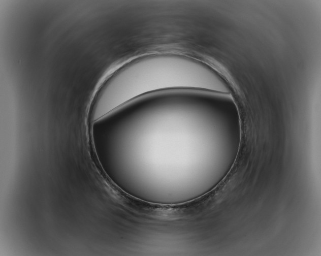 X0000088391176200705220755