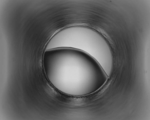 X0000088391177200705220755