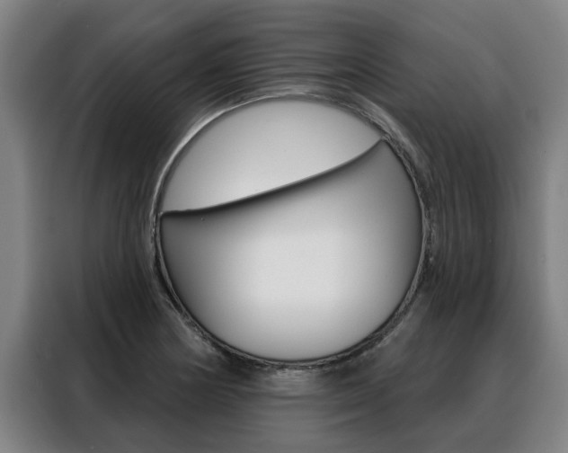 X0000088391178200705220755