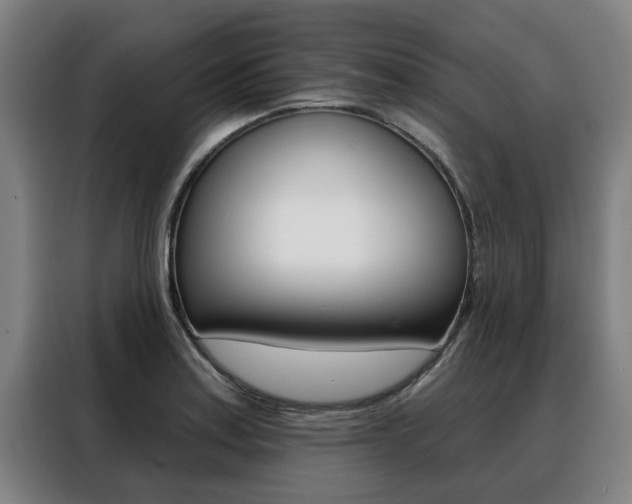 X0000088391179200705220755