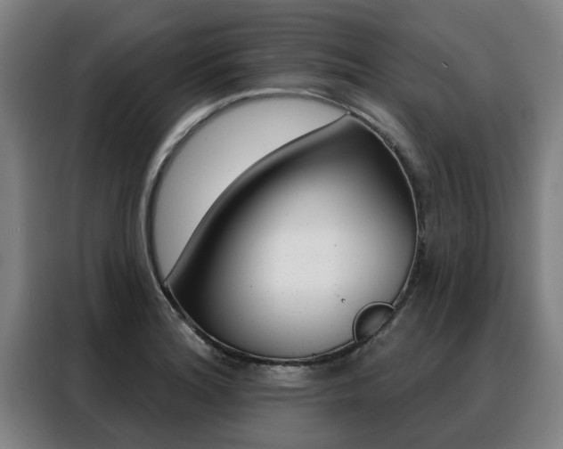 X0000088391180200705220755