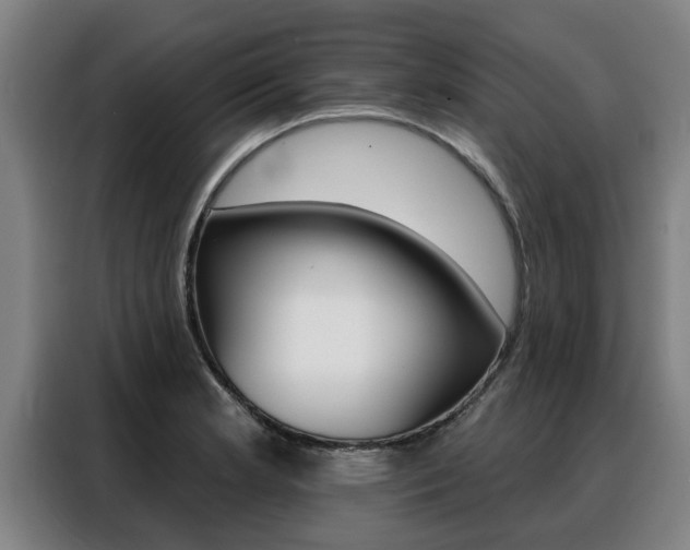 X0000088391181200705220755