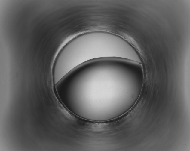 X0000088391184200705220755
