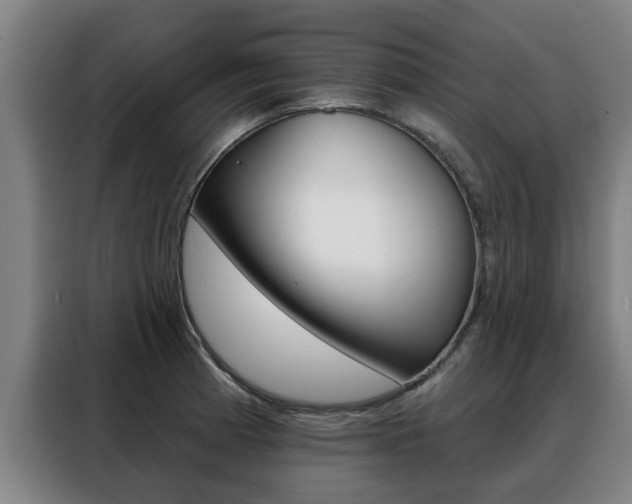 X0000088391185200705220755