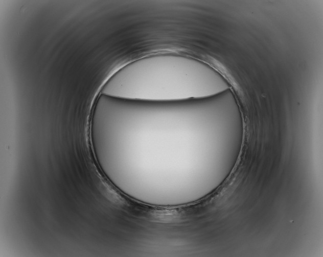 X0000088391186200705220755