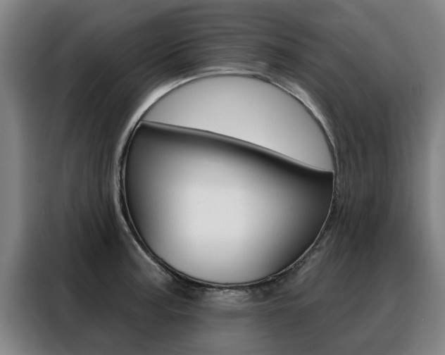 X0000088391187200705220755