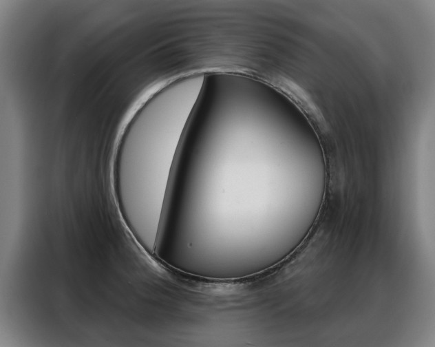 X0000088391188200705220755