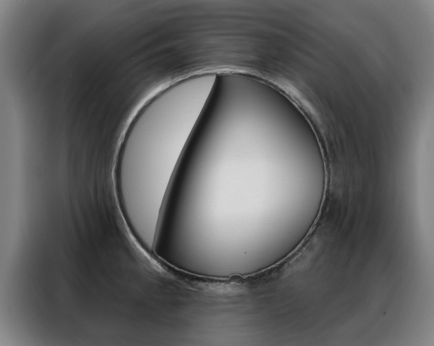 X0000088391189200705220755