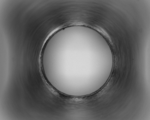 X0000088391190200705220755