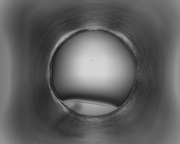 X0000088391191200705220755