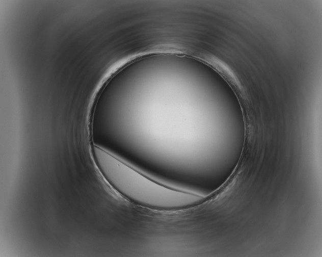 X0000088391192200705220755