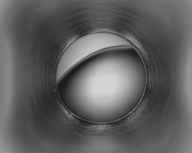 X0000088391193200705220755