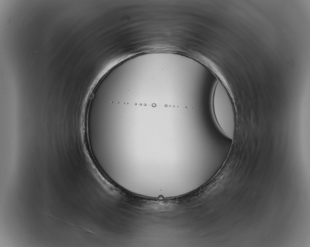 X0000088391195200705220755