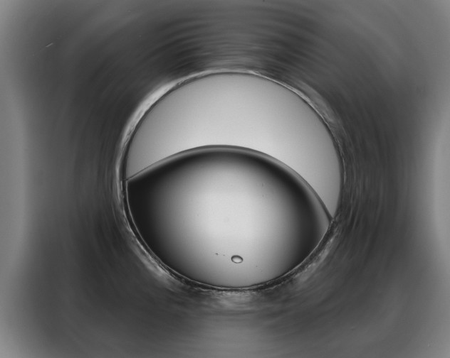 X0000088391196200705220755