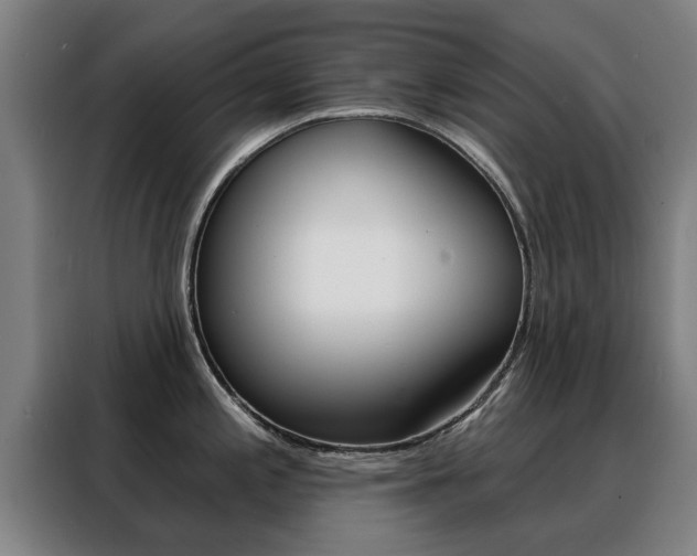 X0000088391197200705220755