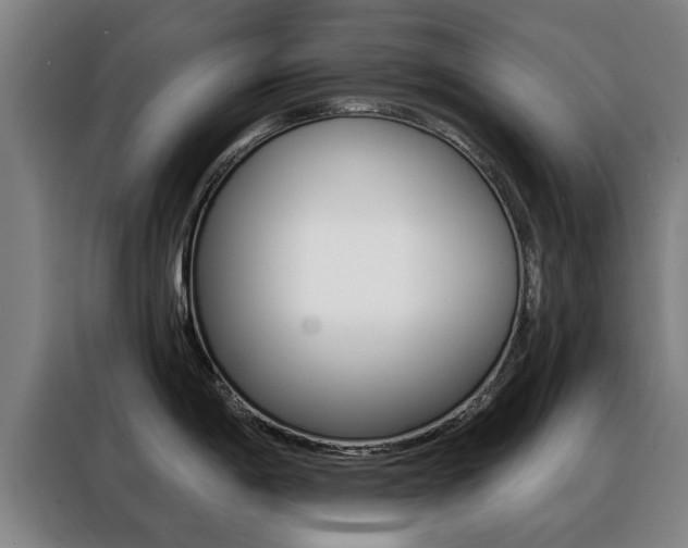 X0000088391198200705220755