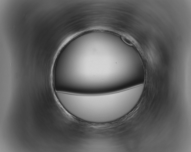 X0000088391199200705220755