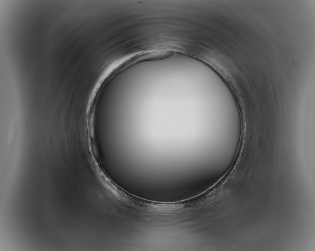 X0000088391200200705220755