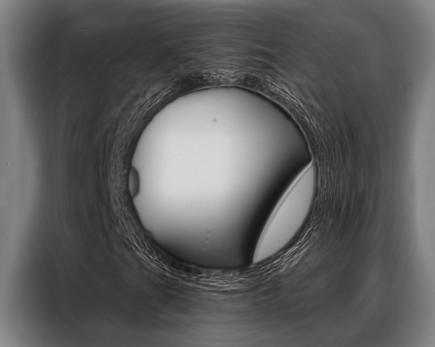 X0000088391201200705220754