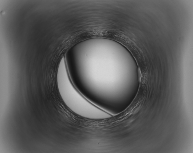 X0000088391202200705220754