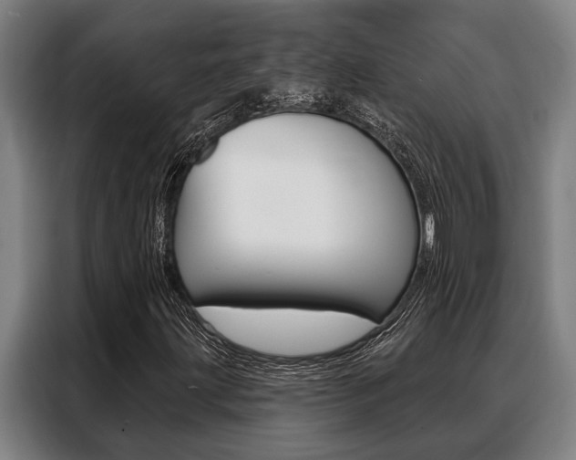 X0000088391203200705220754