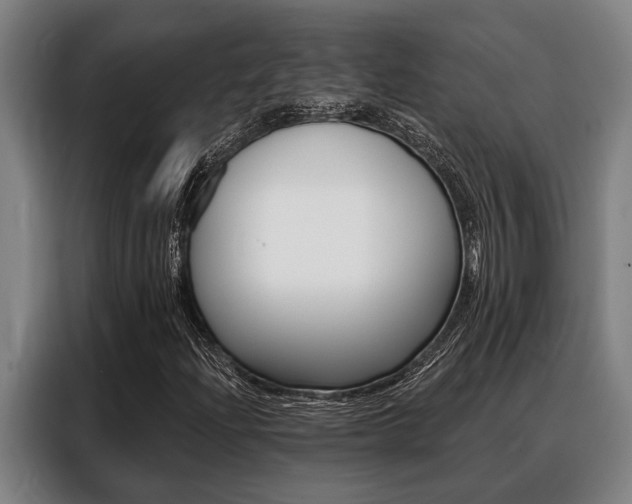 X0000088391204200705220754