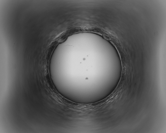 X0000088391205200705220754