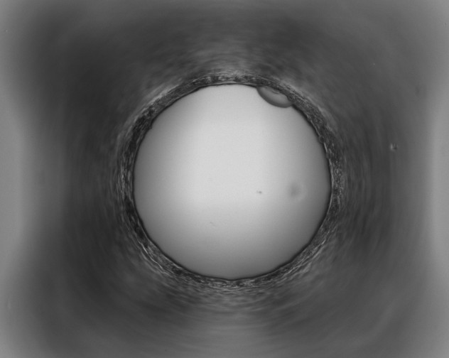 X0000088391207200705220754